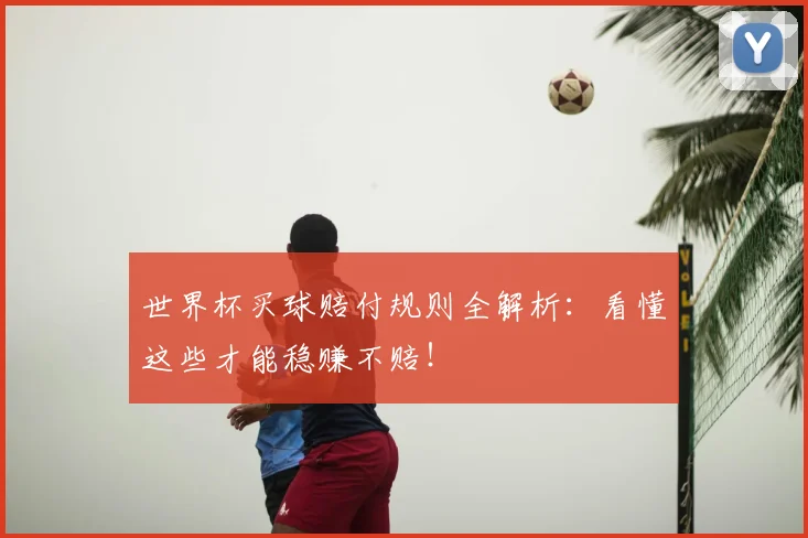 世界杯买球赔付规则全解析：看懂这些才能稳赚不赔！