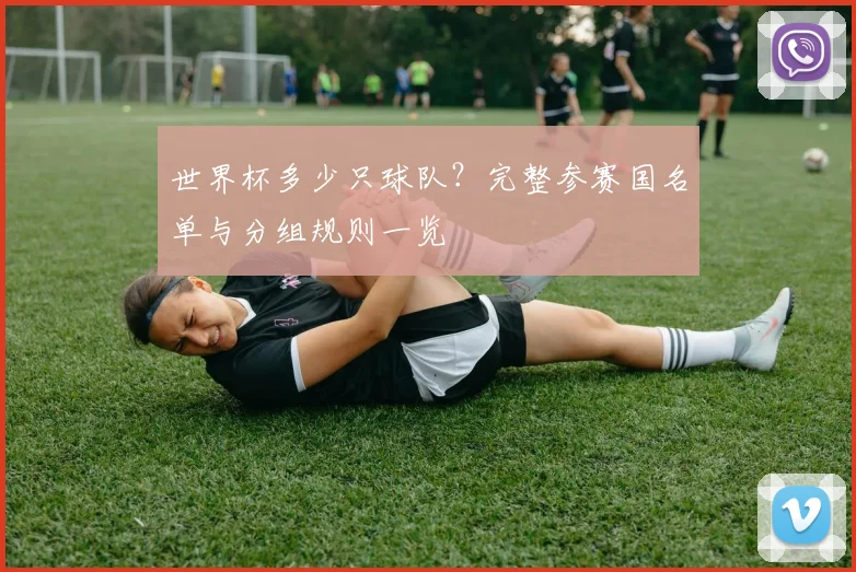 世界杯多少只球队？完整参赛国名单与分组规则一览