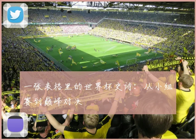 一张表格里的世界杯史诗:从小组赛到巅峰对决