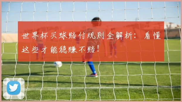 世界杯买球赔付规则全解析：看懂这些才能稳赚不赔！