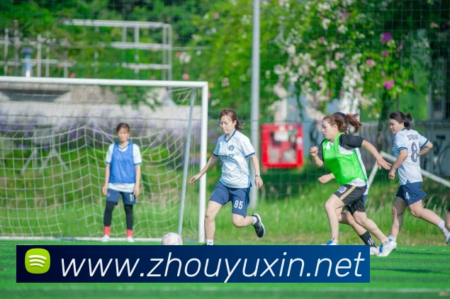 mksports官方登录入口服务体系